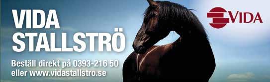 Defilering: : EXTRA BILPROVSTART MIN INNAN START VINNARE PLATS SOLVALLA // 0 Svensk Travsports Unghästserie - Treåringslopp 0 M AUTOSTART -åriga svenska högst.000 kr. Körsvenskrav kat.. 0 m.
