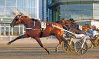 V- VINNARE PLATS SOLVALLA // 0 Petit Prix - Solvallaserien för Ston VIII 0 M AUTOSTART -åriga ston. Körsvenskrav kat.. 0 m. Autostart. Pris: 0.000-0.000-.000-.00-.00-(.00)-(.00) kr. START 0.