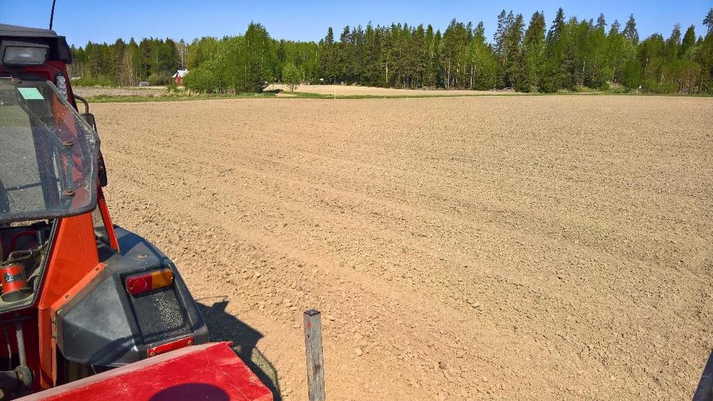 SÅDD 17.5.