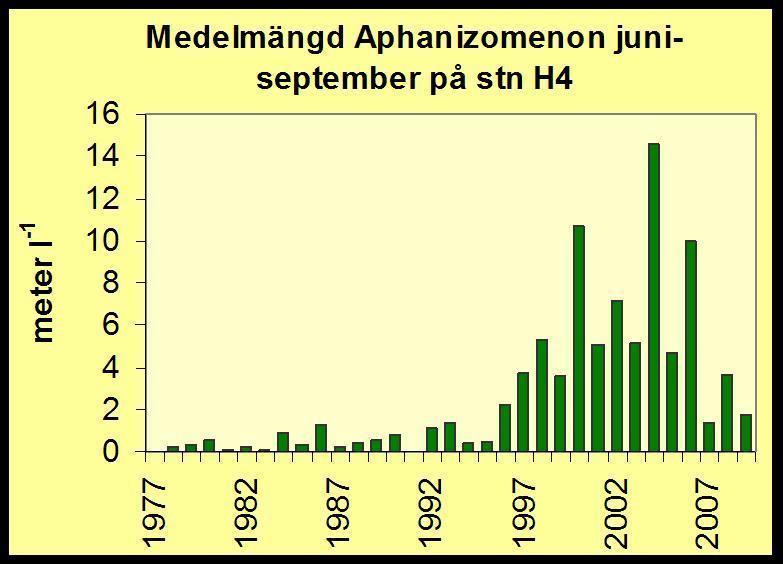 ökade kvävefixerande cyanobakterier Förekomst av den