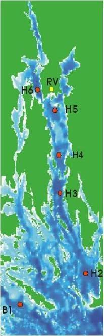 AphµgL 2 18 16 14 12 1 8 6 4 2 Hög kväverening 1998-2, 23-24 BY31 B1 H2 H3 H4 H5 H6 Stn Medelbiomassa av Aphanizomenon sp juni-september Outliers Extremes AphµgL AphµgL Medelhög kväverening 21-22,
