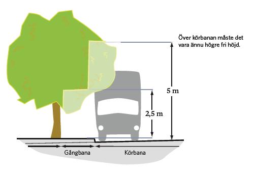 5(9) Har du en häck vid en utfart eller hörntomt bör du se till att häcken inte är högre än 80 cm över gatunivån enligt bilden nedan.