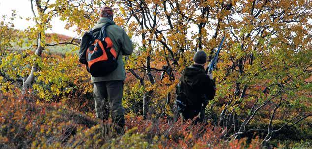 PROV- OCH UTSTÄLLNINGSPROGRAM 2017 SVK Västsvenska SVK:S PROV- OCH UTSTÄLLNINGSPROGRAM 2017 PROV 2017 SVK Södra Kategori Klass Ort Övrigt 20170514 Viltspårprov, ordinarie Anl, Ökl Klåveröd