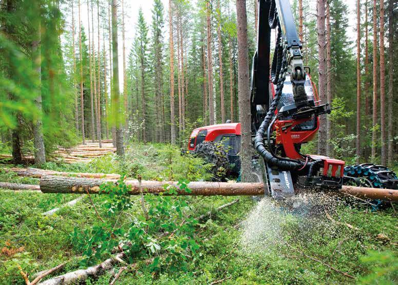 Vilhelmina 0940-58 47 20 Lycksele 0950-348 40 Umeå 090-349 44 30 Räcker inte tiden till? www.rdv.