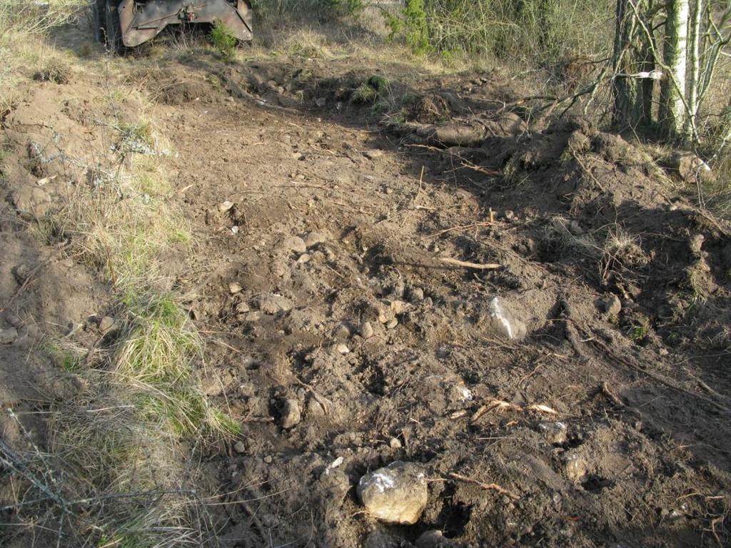 odlingsrösen och stenvastar. Husgrunderna ligger i hagmark och är 35 x 10, 5 meter respektive 23 x 11 meter stora med ingångar på kortsidorna. I hagmarken finns också rest av husgrund?