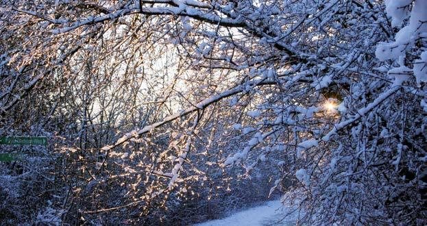 Winterwandertag im Taunus Hast Du Lust auf Natur und Bewegung? Mal rauskommen und mit netten Leuten unterwegs sein?