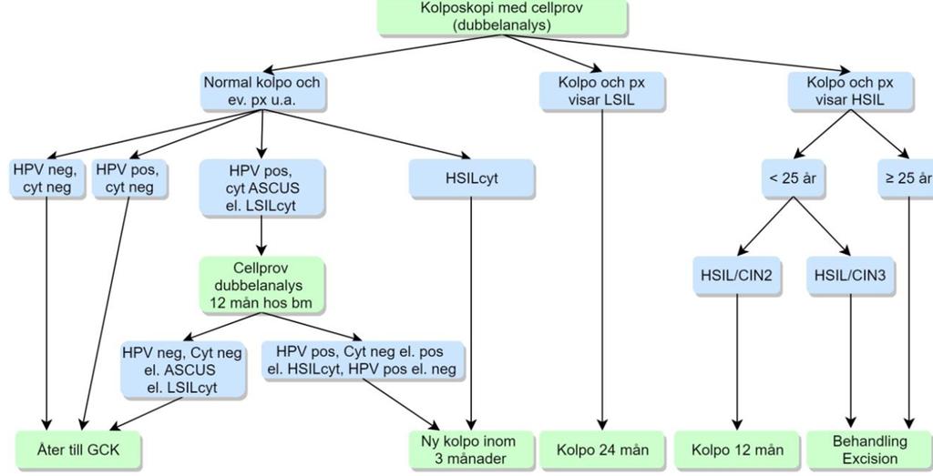 Vid persisterande HPV-infektion med samma HPV-typ >3 år oavsett cytologiutfallet bör patienten utredas med kolposkopi och biopsier (även vid normal kolposkopi).