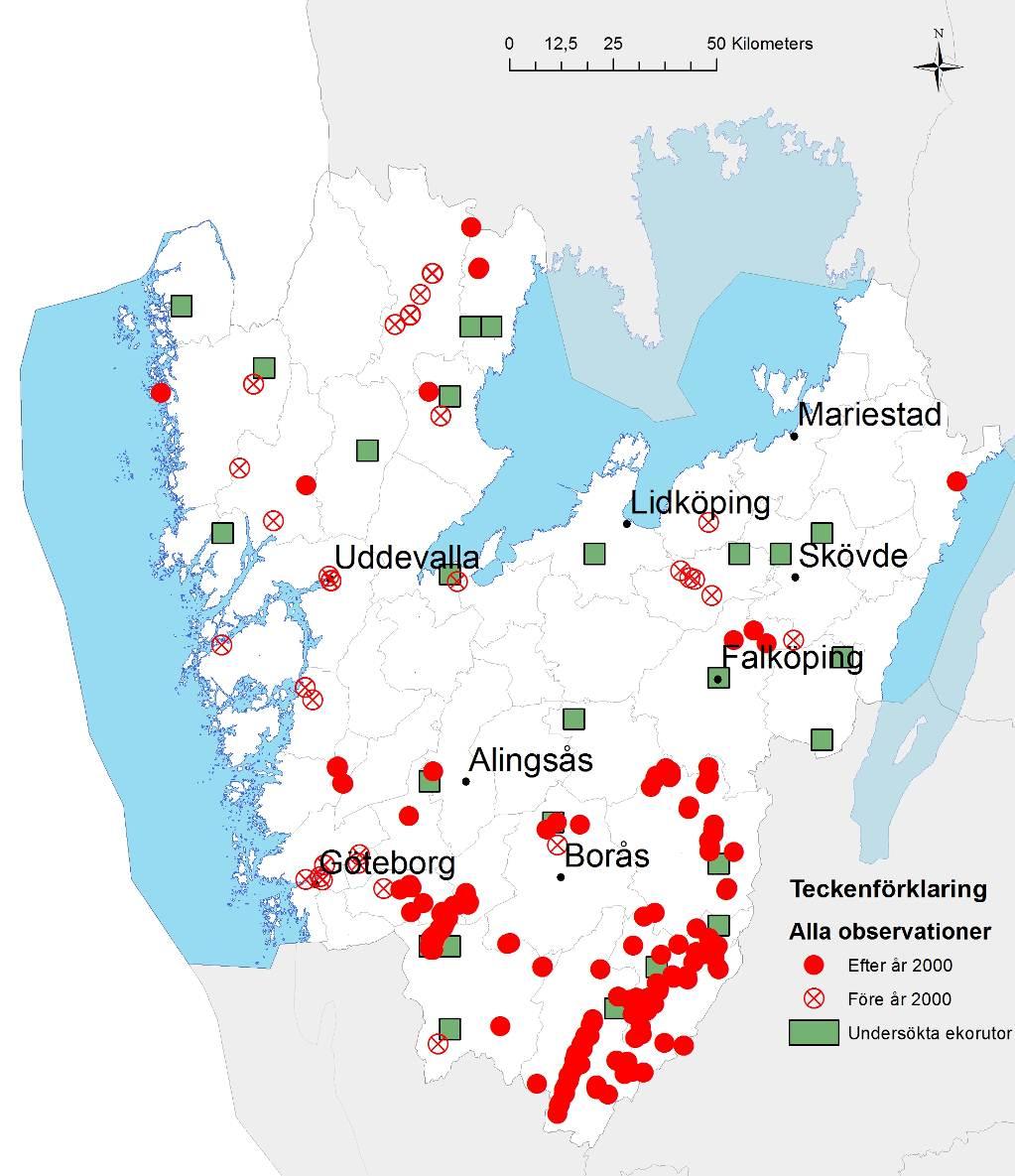 Väddsandbi Andrena hattorfiana NT är en spridd art i länet även om den kan ha drabbats av tillbakagång i Dalsland. Arten är knuten till åkervädd och finns i de flesta marker med gott om åkervädd.