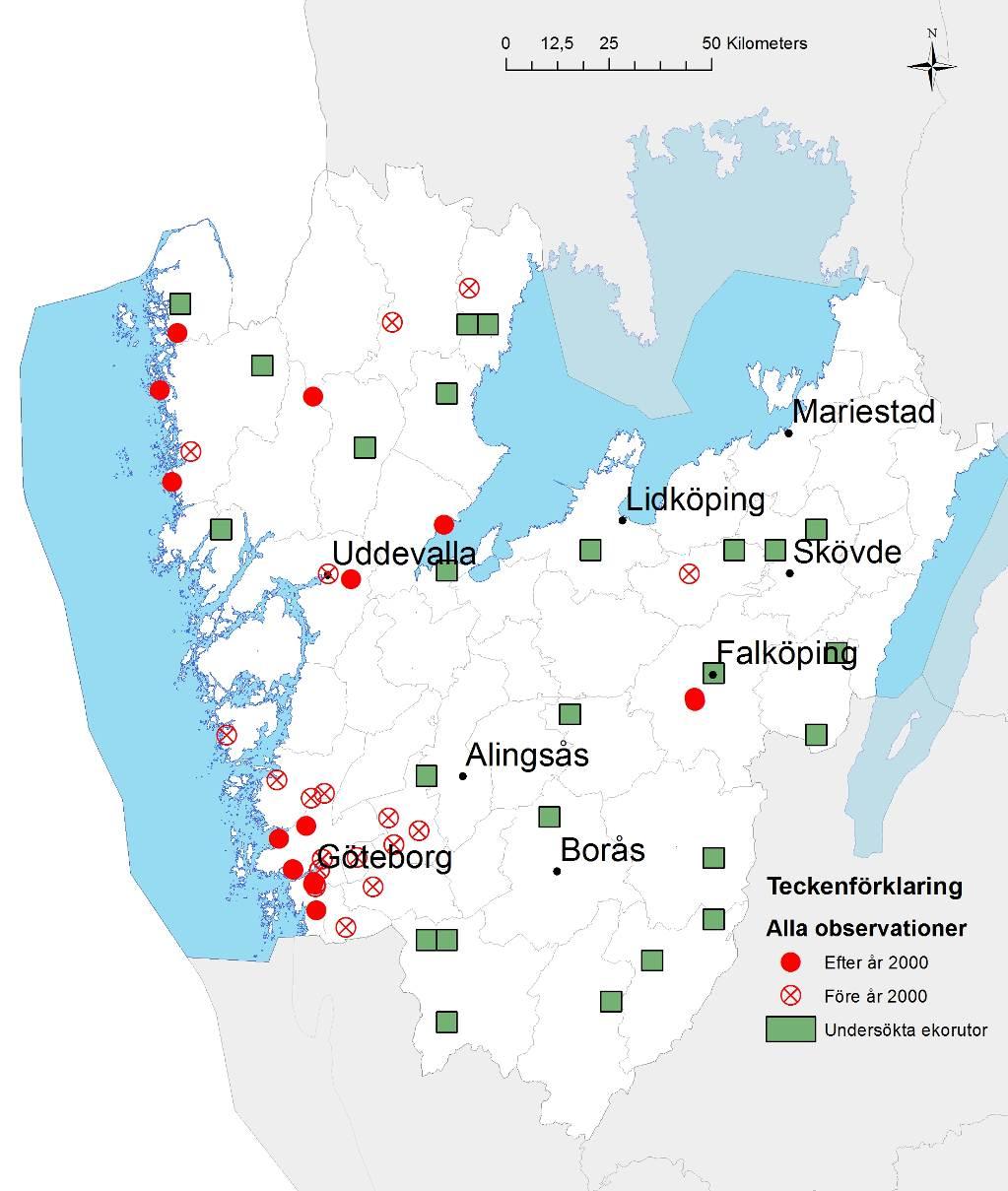 Familjen Sammetssteklar Röd sammetsstekel Mutilla europaea NT är rapporterad från 16 kommuner och har en god status i dag i länet.