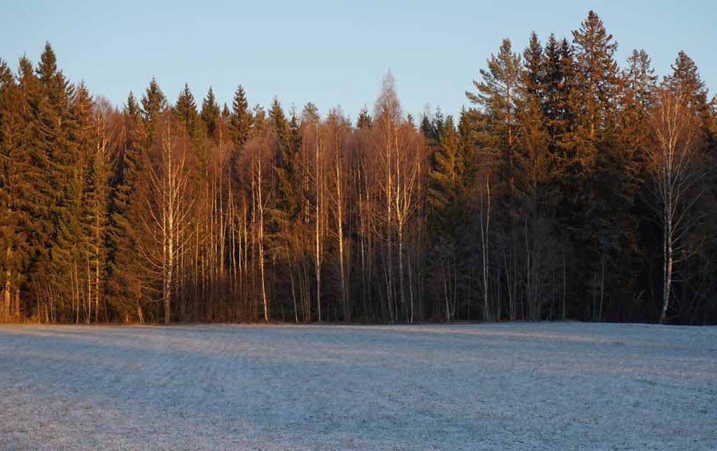 SKOG OCH MARK ÅKER OCH BETESMARK Åkrarna ligger fördelade på 7 områden. Ca 13,6 ha uppmätt på ekonomisk karta. Utarrenderad muntligt t.o.m. 31/12-2019. Inga stödrätter följer områdena.