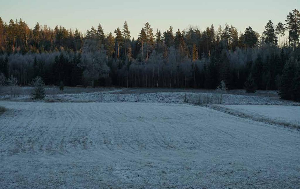 JAKT Fastigheten ingår i Fjägeråsens Viltvårdsområde med jakt på 4 600 ha. Kontaktperson: Folke Pettersson, Pershyttan, Hedemora.