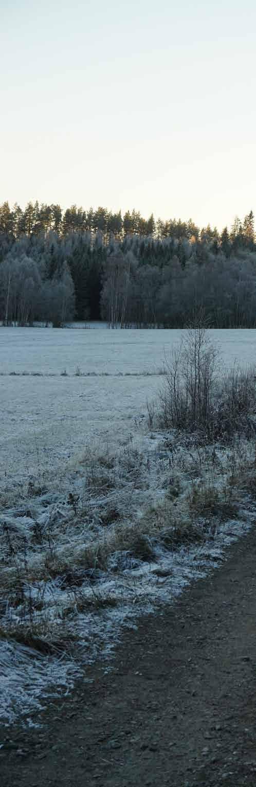 RÄTTSFÖRHÅLLANDEN FASTIGHET Del av Hedemora Nordansjö och Svensbodarne 1:60.