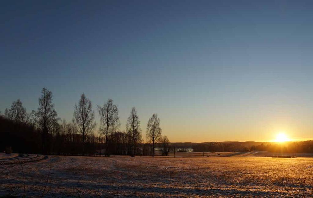 FRISKRIVNING En friskrivningsklausul kommer att finnas med i köpekontraktet där säljaren friskriver sig från fel eller brister i fastigheten.