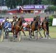 Stein Daylight och Sandrngham Hanovers dubbelseger på V86 i Bollnäs var en riktig höjdare och så fick vi ju ett fantastiskt avslut på månaden när My Golden var tvåa i E3-finalen.