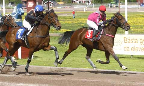 nyhetsbörsen juni2012 Dubbla dubbelsegrar för Witasp My Golden imponerade på Lindesberg Turbolines håller undan för rappt avslutande stallkamraten Nova Race.