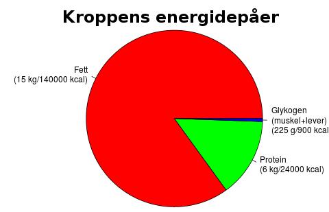 Figur 5: Kroppens energidepåer: fett står för den övervägande delen, med relativt små andelar protein och mycket små lager av kolhydrater[9].