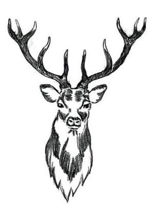HJORTHAJKEN 2019 Nu är det dags att boka in höstens hajk för Upptäckare och Äventyrare! Hjorthajken genomförs på kvällen/natten på Billingen. Observera att det är Fredag-Lördag!