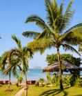 Stranden på Koh Racha Yai Koh Yao Yai 4 Koh Yao Noi Khlong Bon Ao Bole 0 km 20 Ao Luk Koh Khai Nok 3 KARTA F3 Den här ön bjuder också på härlig snorkling, med korallrev nära kus ten som viktigaste