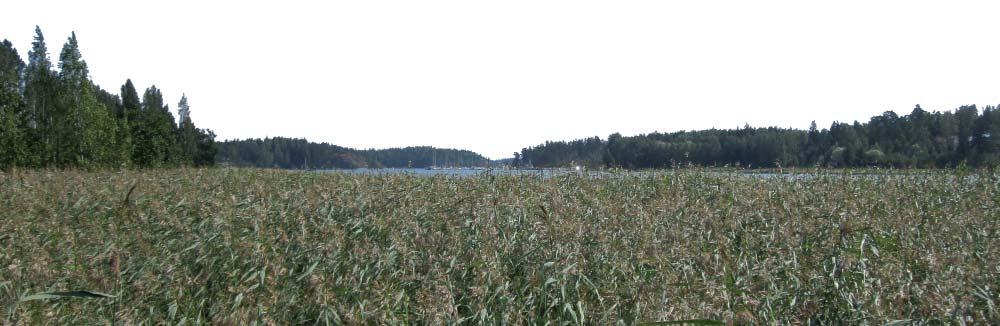 2. Tiivistelmä 2. Kaavaprosessin vaiheet Sipoon kunta ja Sipoonranta Oy allekirjoi vat 23..200 kaavamuutostyötä koskevan kaavoituksen käynnistämissopimuksen.