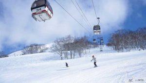 alla fyra skidområden som tillhör Niseko: Hanazono, Gran Hirafu, Niseko Village och Annupuri.