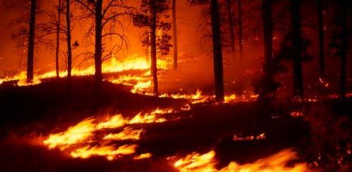 Oavsett om du har avtal eller ej så har du möjlighet att ansluta dig till detta projekt. Vi har i planeringen även fler idéer där vi som frivilliga kan delta och göra nytta!
