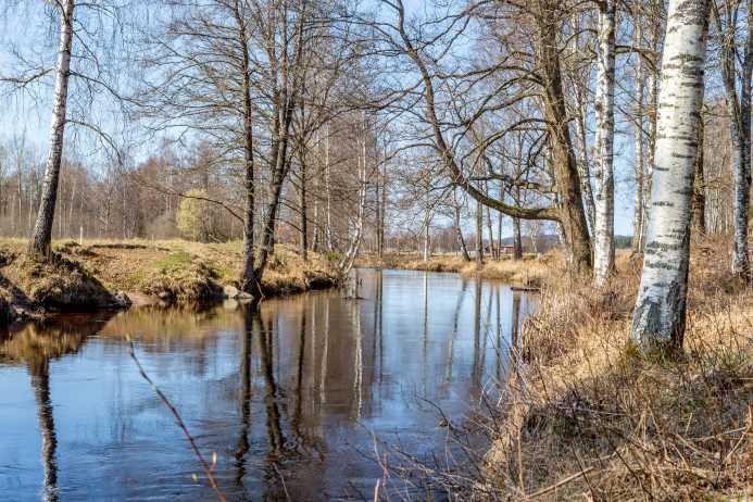 Skogsskiften i Kråketorp!