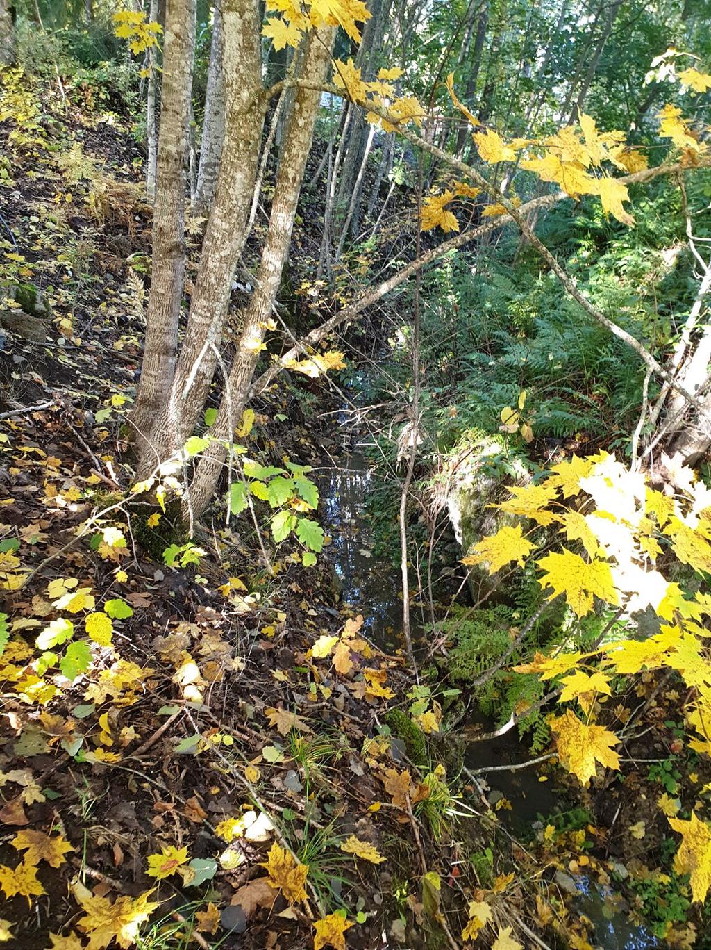 flödesriktning västerut mot sjön nedingen.