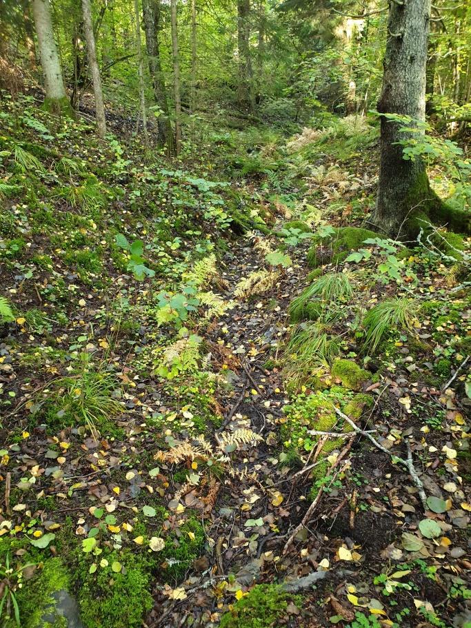 Under platsbesök var endast en mindre del av bäcken vattenfylld och ingen vattenströmning förekom.