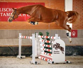 Fantast Conquistadora DE 333331103198 Old, B Contender Sinora Calypso II Gofine Ex Libris Sinota v. Ramiro v. Elan xx v. Zeus Liberia DE 441411758108, B Lancer III Carina Landgraf I Inula Ricarda v.