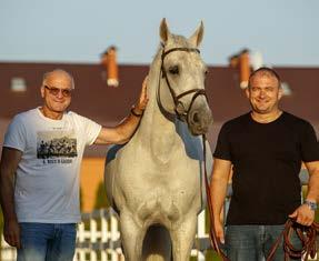 Presentation of the auction horses on the hard ground Free movement and free jumping of the auction horses Saturday, 2 nd November 2019 Indoor riding show Walking ring with licensing decision