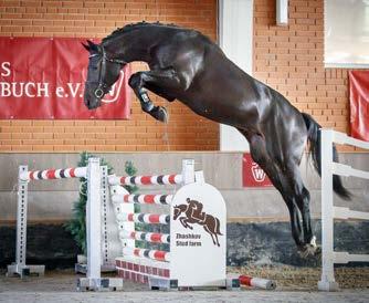 Orlando DE 441411226308, Db Bonheur van het Costersveld Chanel (Kerrin II) v. Carthago 1.