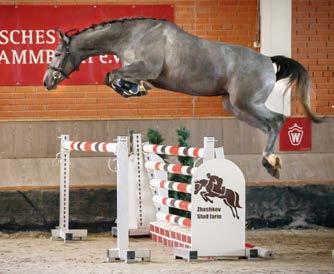 Balou du Rouet; St.Pr.St. Granada v. Graf Spee, St.Pr.St. Diana v. Douglas; St.Pr.St. D Arbanville v. Decamerone; Antigone 56 (1,30 m) v. Apart; Dancing Boy 10 (1,30 m) v.