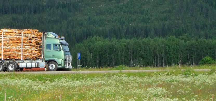 NORDISKA TRANSPORTARBETAREFEDERATIONEN, NTF Förbundet har representerats av Lars Lindgren i såväl arbetsutskott som styrelsen. Karin Peterson innehar uppdraget som revisor i federationen.