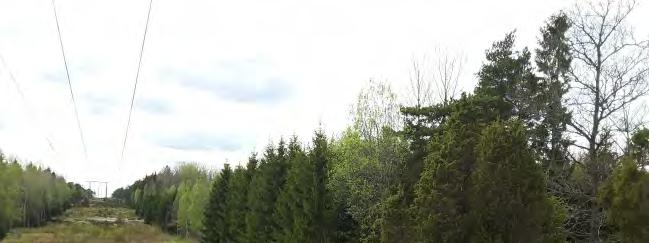Bilaga 3 Miljökonsekvensbeskrivning,