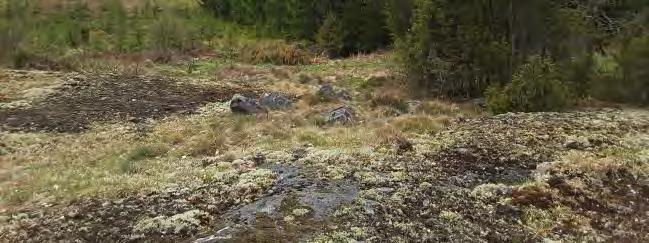 Utbyggnadsförslag Underlag för samråd enligt