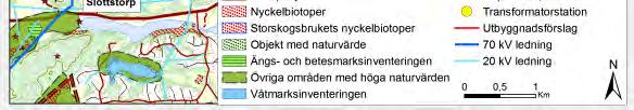 Sumpskogen i sydväst (S1) inventerades i samband med naturvärdesinventeringen och klassades till naturvärdesklass 3, påtagligt naturvärde enligt standarden för naturvärdesinventering, se nedan.
