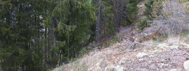 Miljökonsekvensen av den avverkning som utbyggnadsförslaget medför bedöms därmed bli liten. Mörtsjön Utbyggnadsförslaget planeras mellan befintlig 70 kv ledning och Mörtsjön på en markant höjdrygg.