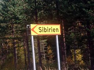 Stopp 3: Besök inne i Hamra nationalpark, gammalt domänreservat med lång kontinuitet av granskog. En stor mängd vedsvampar såsom talltick