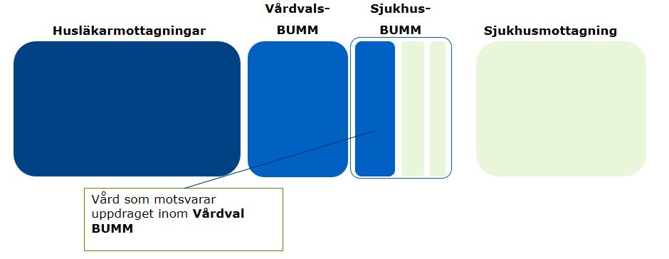 9 (14) att sådan vård som kan omhändertas i Vårdval BUMM ska flyttas ut i vårdvalet. Illustration av Sjukhus-BUMM:s patientgrupper i nuläget. Vård som kan övertas av mottagningar inom vårdval BUMM.