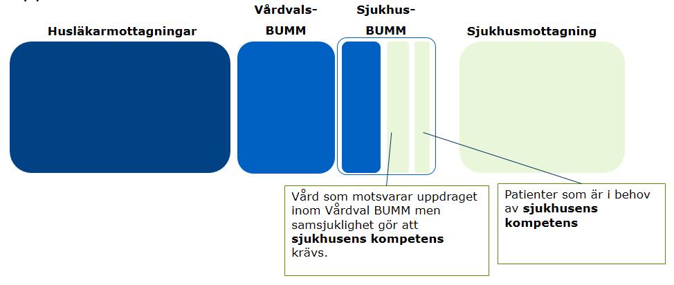 att patienten är i behov av sjukhusets kompetens. Sjukhus-BUMM tar även emot patienter som med anledning av patientbesökets komplexitet är i behov av sjukhusets kompetens.