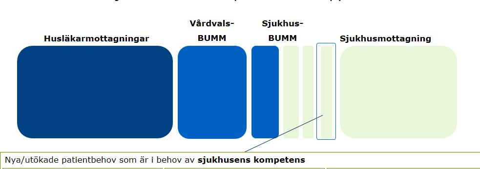 10 (14) - Barn med extrem prematuritet i behov av uppföljning - Utökat behov av neuropsykiatriska utredningar i behov av sjukhusets kompetens (NU-teamsutredningar).