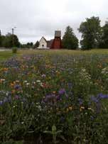 vaktmästare Moa för den jättefina blomsterutsmyckningen i kyrkan under sommarens aktiviteter.