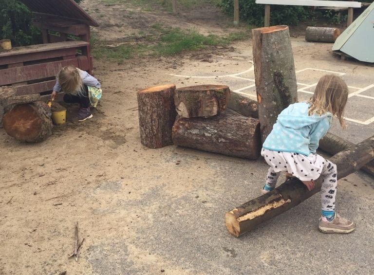 förskolan. Trädet hade sågats i olika höga stubbar från ca 10 centimeter till ca 70 cm.