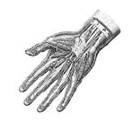 Ergonomi Vibrationsdämpning av handhållna maskiner var ett okänt begrepp ända till mitten av 1960-talet.