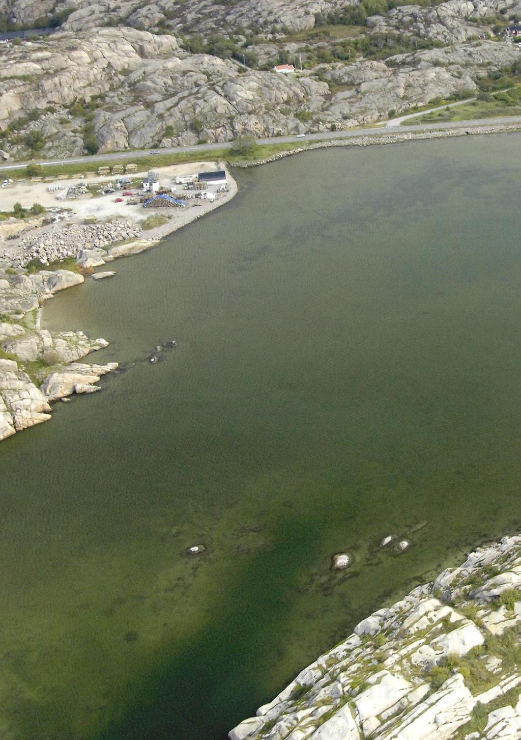 HYDROGIS AB MARINBIOLOGISK UNDERSÖKNING AV