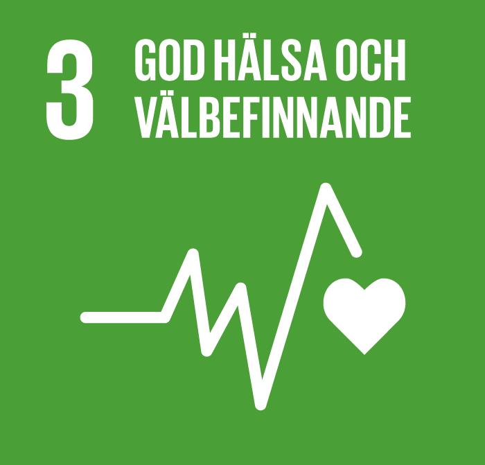 50 (94) Nedan följer förklaringar till projektmålen. De färgade symbolerna till höger anger vilka av de globala målen (Agenda 2030) som respektive mål kan kopplas till.