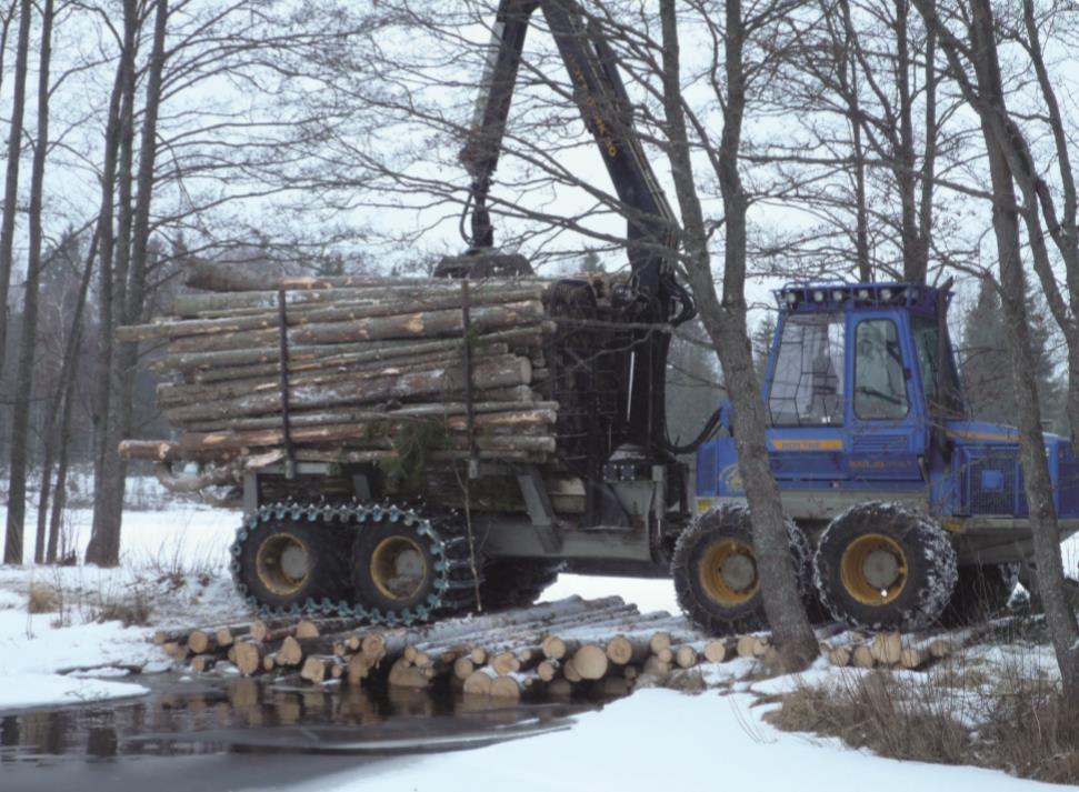 damage during harvesting operations at Holmen Skog Louise Sunnälv Persson Examensarbete 30 hp