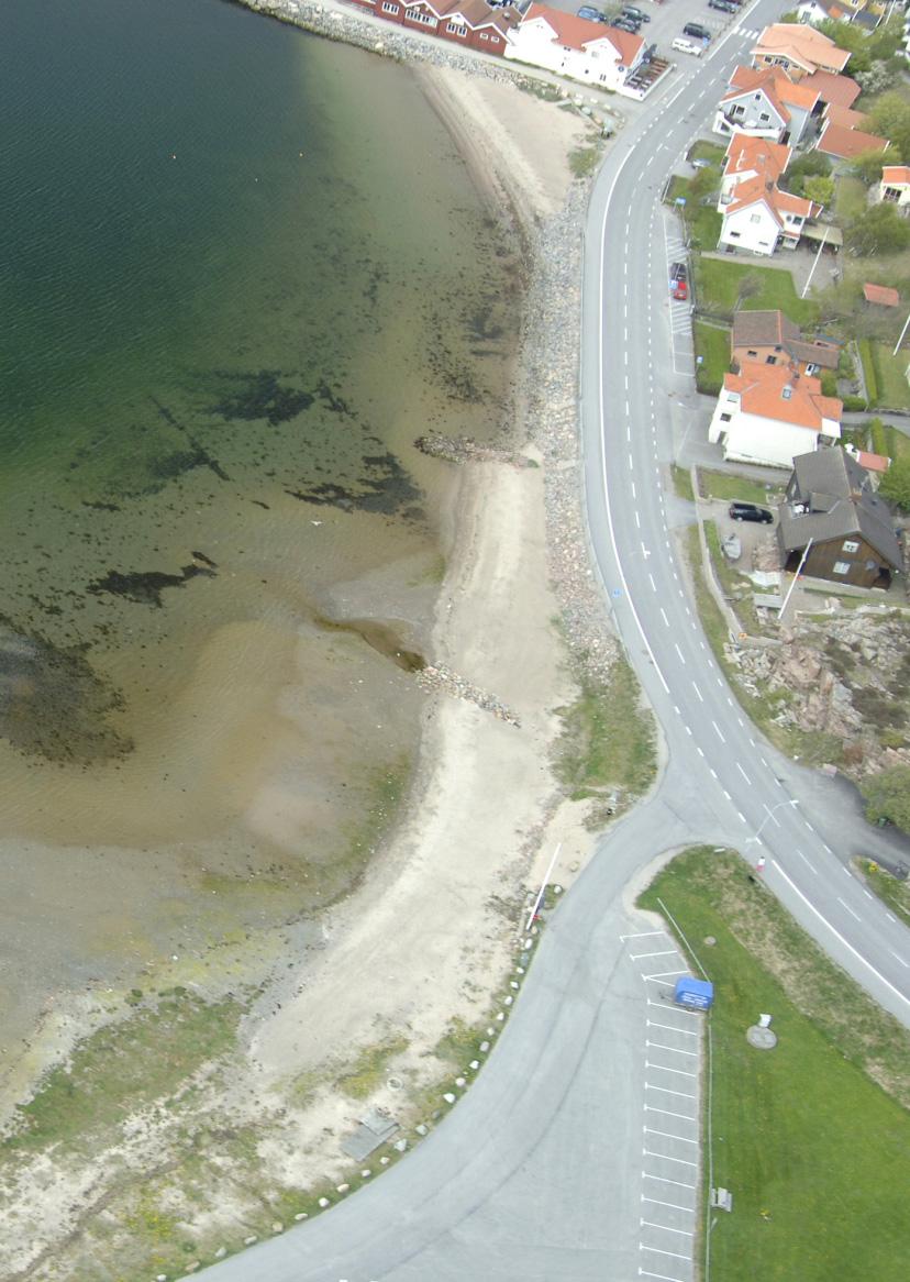 HYDROGIS AB BIOLOGISK INVENTERING GÅNG- OCH CYKELVÄG I GREBBESTAD TANUMS