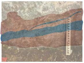 minerals with minor amounts of garnet and epidote. The foliation is again indicated by muscovite.