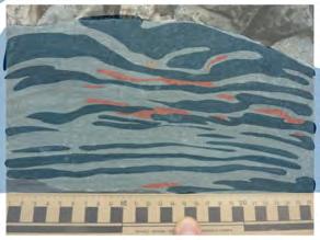 The foliation appears to be more or less parallel to the